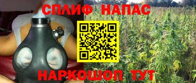 скорость Берёзовский