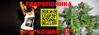 скорость Берёзовский