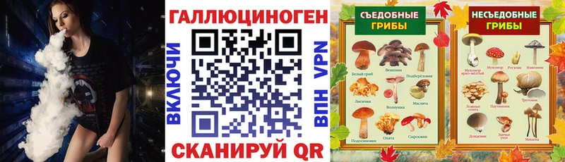 Галлюциногенные грибы Psilocybe  Борисоглебск 